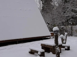 Частный дом Лисичкин дом