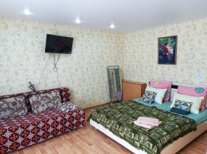 Квартира Большая однушка в центре рядом с парком, горбольницей, ФОКом и вузами