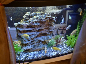 Гостевой дом Коржовъ