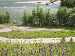 Частный дом Современный гостевой дом на слиянии рек Катунь и Кокса