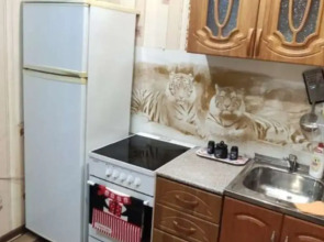 Апартаменты Однокомнатные в центре города