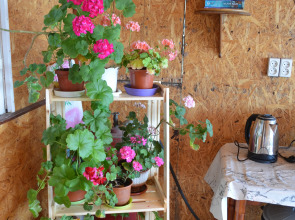 Апартаменты У моря