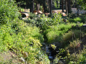 Санаторий Лес