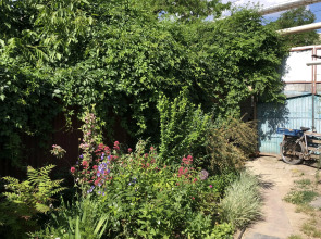 Zolotaya Rybka Sudak