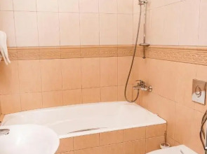 Отель Метелица