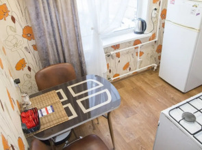 Двухкомнатные апартаменты у ДК Металлургов. Барбарис