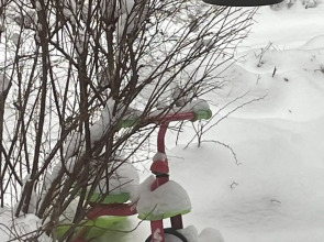 Гостевой дом Моя Провинция