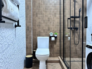 Апартаменты Однокомнатный апартамент люкс