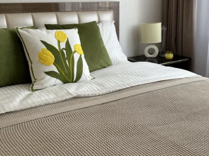 Квартира RnD Cozy Aparts в самом центре СЖМ