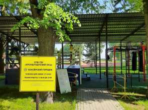 Квартира- студия на Берегу Финского Залива