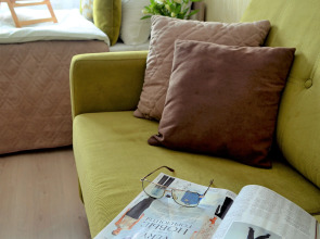 Квартира однокомнатная В гостях у Петербурженки Янино