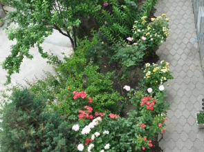 Гостевой дом Мармари