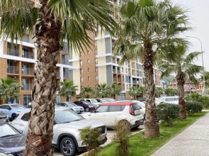 Апартаменты Сочи Комфорт и Эстетика