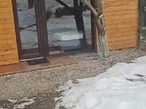 Гостевой дом Фруктовый сад