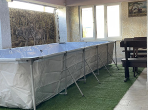 Гостевой дом Алла-Рома