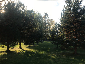 Бунгало Дункан