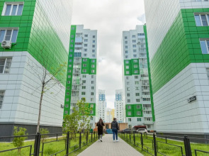 Квартира Елена Озерки