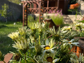 Гостевой дом Holiday Home