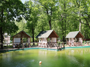 Отель Дубрава