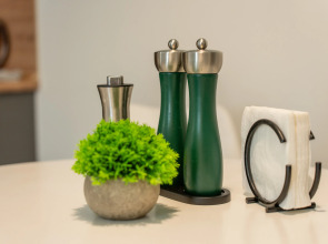 Апартаменты Центральная