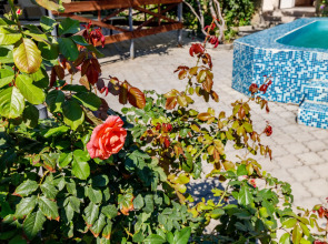 Гостевой дом Сашенька