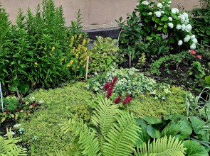 Апартаменты идеальные для отдыха