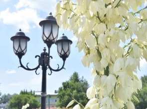 Санаторий Москва-Крым