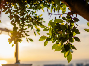 Hotel TEK HAN KUMKUYU