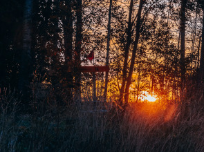 Кемпинг ForrestHome