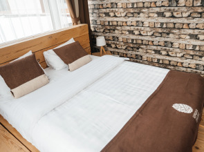 Отель Шишка