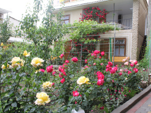 Гостевой Дом Елена