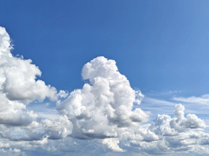 Студия Flamingo метро Ладожская