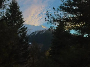 База отдыха Гринвальд 1474