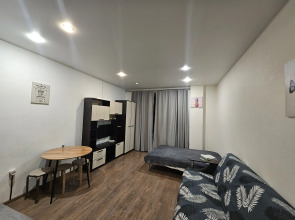 Апартаменты на проспекте Авиаторов Балтики 1к1