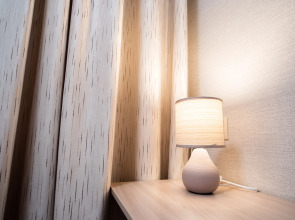 Отель Снегири