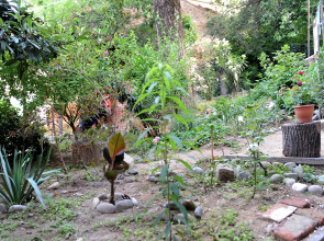 Апартаменты Old Vera