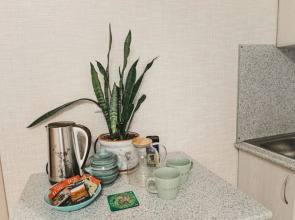 Квартира Уютная Квартира в Центре Рязани