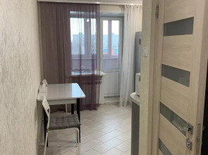 Квартира рядом с аэропортом Толмачева