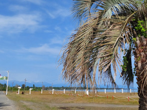 Курортный отель Сосновый Бор