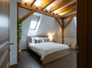 Апартаменты Мансарда в Немецком Особняке