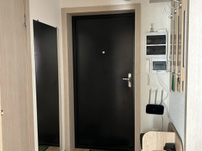 Апартаменты на проспекте Московском 209