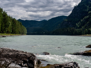 Гостевой дом АЛТАЙ БЕРЕГ ИП Рожнова Л.В.
