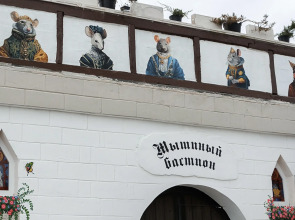 Гостевой дом мышиный бастион