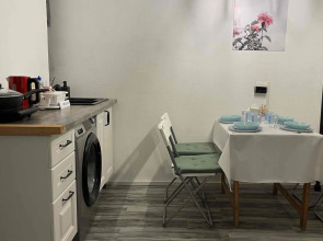 Апартаменты на улице Тургенева