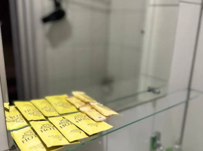 Отель Пионер