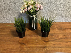 Апартаменты Green