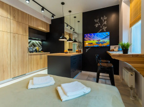 Апартаменты с видом на Останкино Wood&black