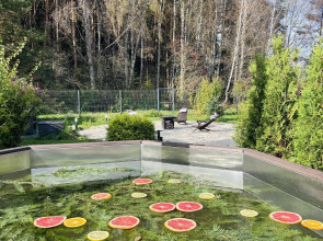 Шале у Леса с Банным Чаном