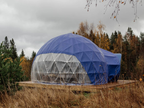 Глэмпинг Папоротник