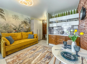 Квартира Студия на Невском 27квм